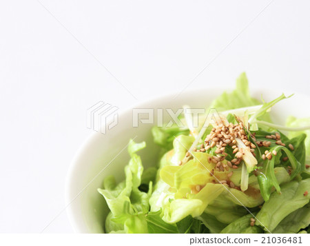 Sesame and salad Sesame and salad 21036481