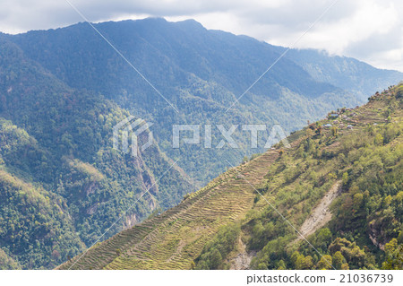 Overview of scenic terrace farming in Nepal Overview of scenic terrace farming in Nepal 21036739