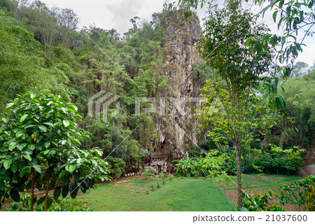 Londa is cliffs and cave burial site. Tana Toraja 21037600