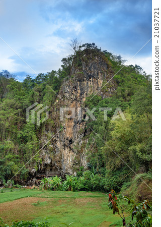 Londa is cliffs and cave burial site. Tana Toraja Londa is cliffs and cave burial site. Tana Toraja 21037721