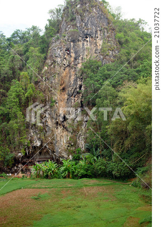 Londa is cliffs and cave burial site. Tana Toraja Londa is cliffs and cave burial site. Tana Toraja 21037722