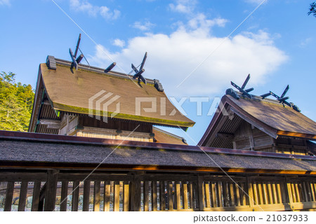 Izumo Taisha Main Site Izumo Taisha Main Site 21037933