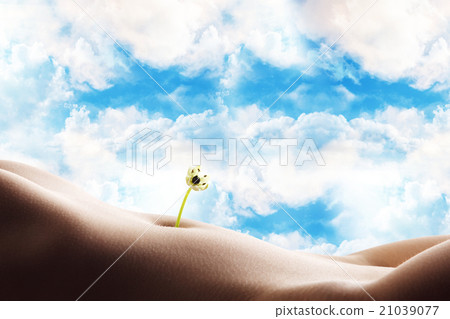 Body of woman with flower in navel Body of woman with flower in navel 21039077