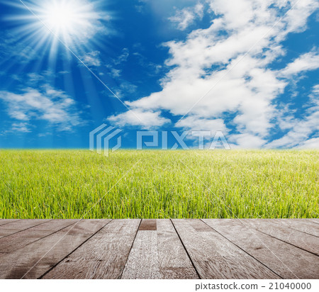 Wood table top on green gass with blue sky Wood table top on green gass with blue sky 21040000
