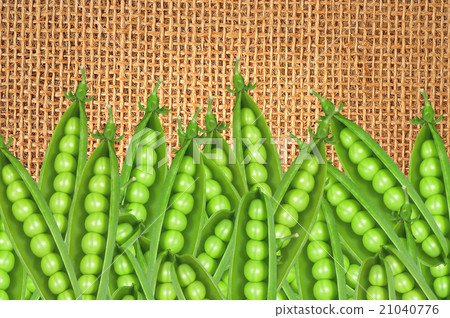 Green fresh peas over burlap background 21040776