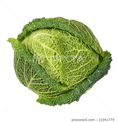 Savoy cabbage Savoy cabbage 21041779