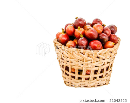 fresh coffee beans in basket on white background fresh coffee beans in basket on white background 21042323