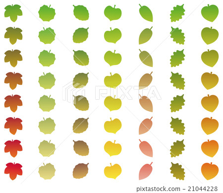 Leaves Color Change Grades Fall Green Leaves Color Change Grades Fall Green 21044228