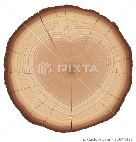 Annual Rings Heart Shaped Nature Love Symbol 21044352