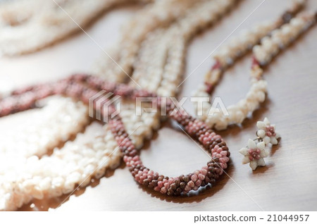 Nihau shell 21044957