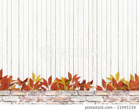 Natural background Natural background 21045139