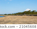 從沼津看到的富士山 21045608