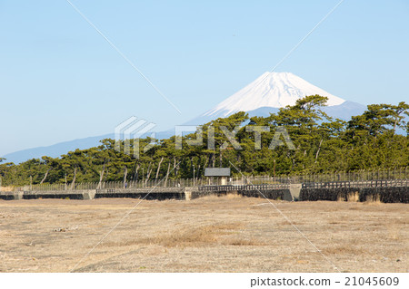 從沼津看到的富士山 從沼津看到的富士山 21045609
