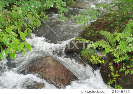 The babbling of the river after the rain 21046755