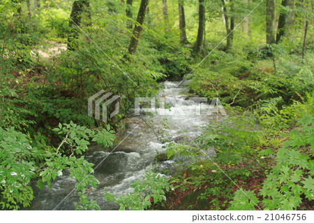 Serenity of the River 21046756