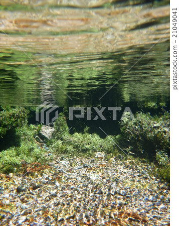 Ripple Ripple 21049041