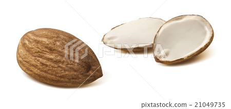 Almond half set group isolated on white background 21049735