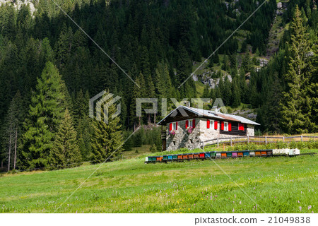 Val San Nicolo in Fassa Valley 21049838