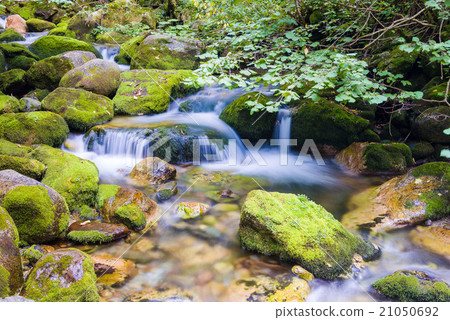 Creek in the Ligurian Alps 21050692