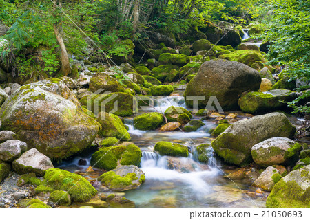 Creek in the Ligurian Alps Creek in the Ligurian Alps 21050693