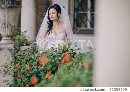wedding day HD wedding day HD 21054509