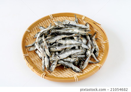 Hobbyishi (Katakukuchi) 21054682