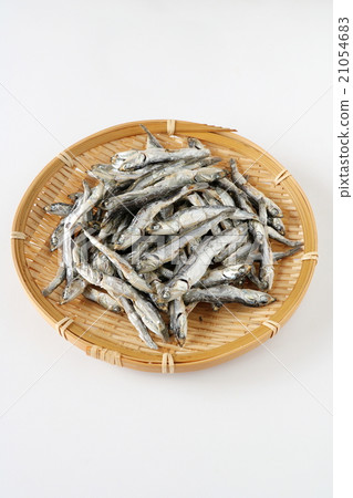 Hobbyishi (Katakukuchi) 21054683