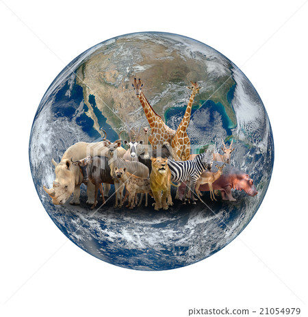 group of africa animal with planet earth 21054979
