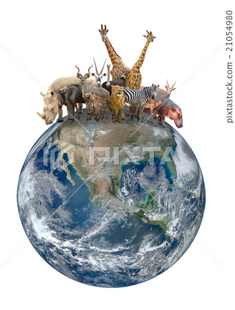 group of africa animal with planet earth 21054980