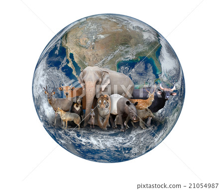 group of asia animal with planet earth 21054987