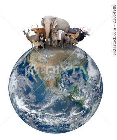 group of asia animal with planet earth 21054989