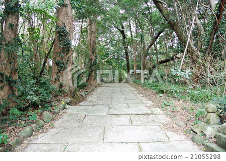 Esakazaki Esakusa 21055298