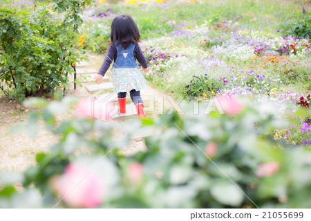 Go out to the rose garden♪ 21055699