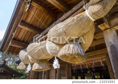 熊野泰莎 21055891