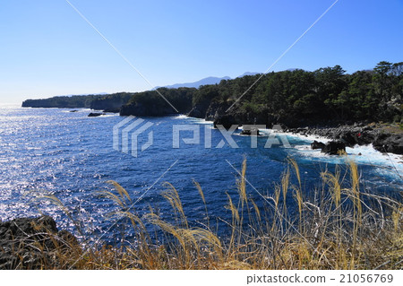 2月Higashiizu 05 Jogagasaki海岸 21056769