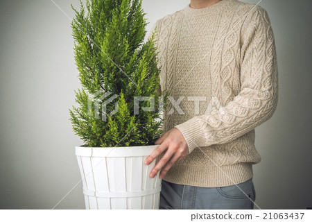 葉子植物 21063437