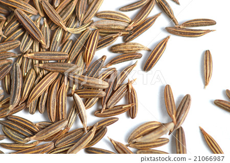 Mituba's seed Mituba's seed 21066987