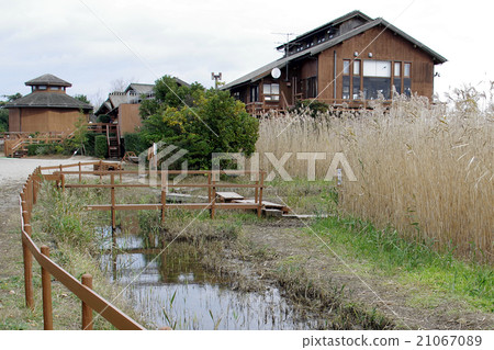 Yonago Waterbird Park Nature Center Medaka Pond Yonago Waterbird Park Nature Center Medaka Pond 21067089