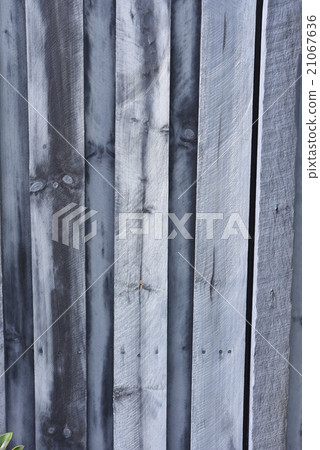 木五穀紋理 21067636