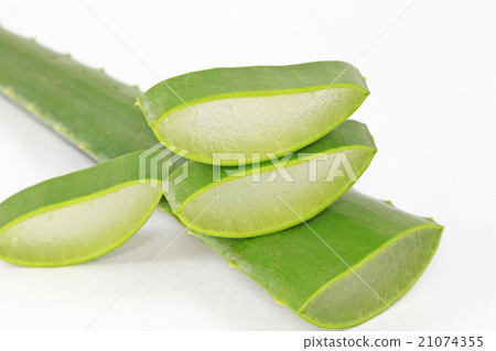 食用蘆薈蘆薈橫切面 21074355