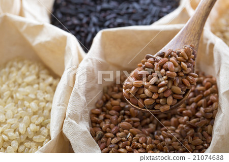 Red rice 21074688