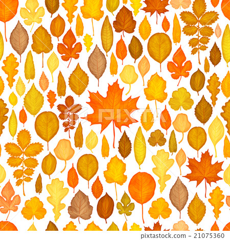 Seamless pattern of autumn leaves vector - Stock Illustration [21075360 ...