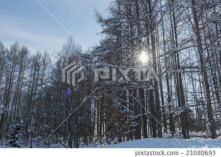 雪景 21080693