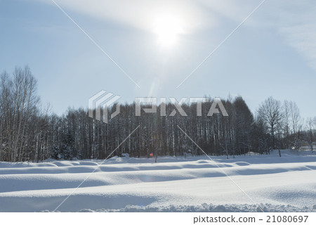 Snow scene Snow scene 21080697