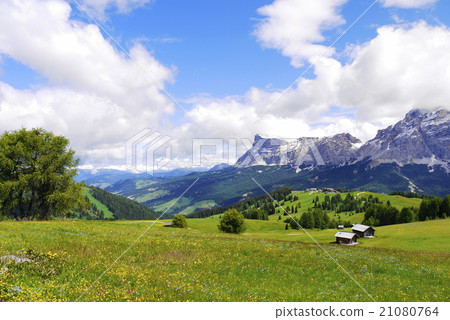 Alta badia alta badia Alta badia alta badia 21080764