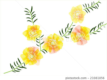 Portulaca flower, cute yellow flowers with leaves  21081856