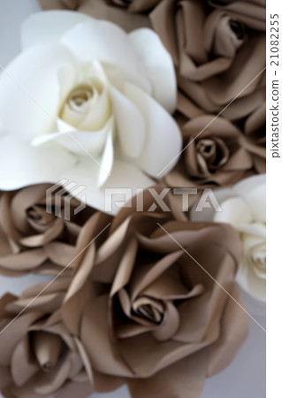 blur big rose paper brown white blur big rose paper brown white 21082255