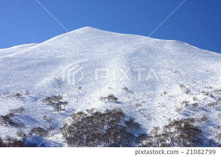 Snow Niseko Annupuri 21082799