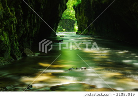 Moss no Sato 21083019