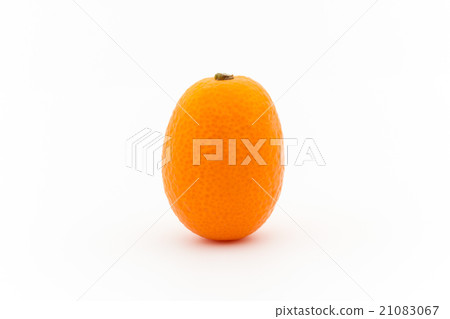 Kumquat: Kumquat Kumquat: Kumquat 21083067